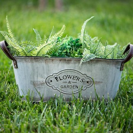 Garden Suite Nea Peramos  Ngoại thất bức ảnh