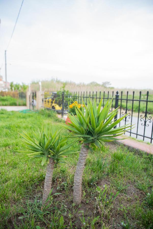 Garden Suite Nea Peramos  Ngoại thất bức ảnh