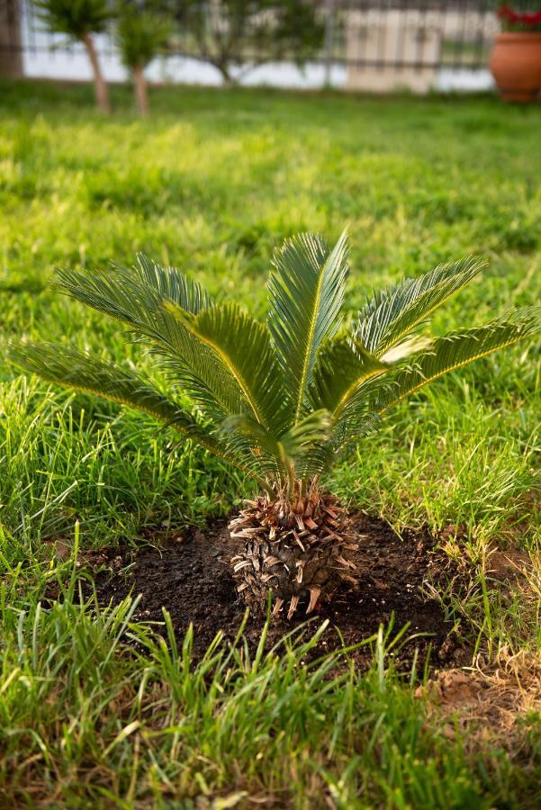 Garden Suite Nea Peramos  Ngoại thất bức ảnh